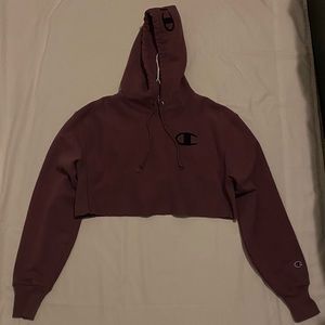 Champion Small Cropped Purple Hoodie
